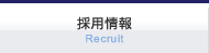 採用情報